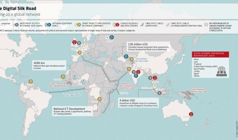 Building the Digital Silk Road